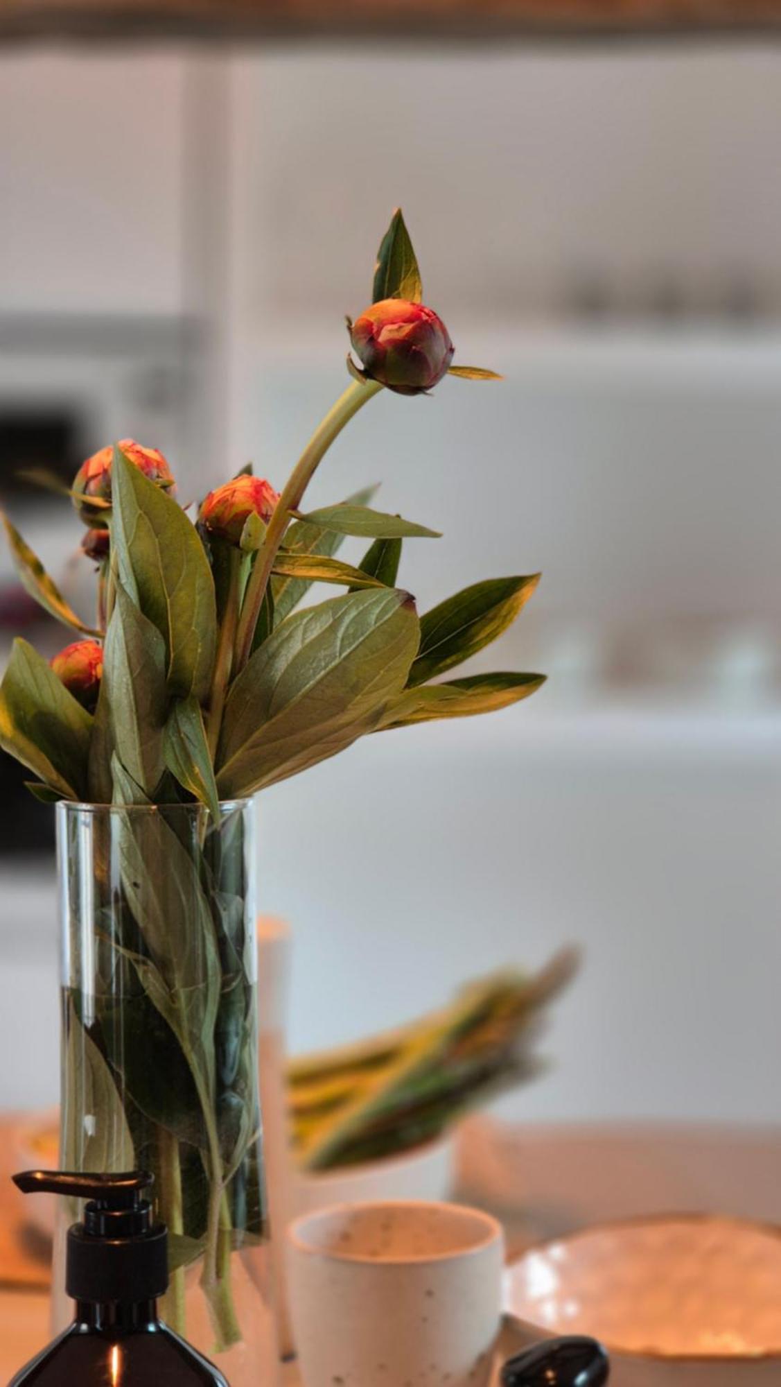 L'Arbre Voyageur Apartment Autun Ngoại thất bức ảnh